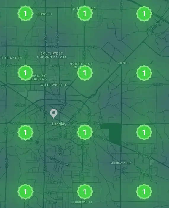 Local SEO geo-grid map showing number one map rankings across Langley, BC